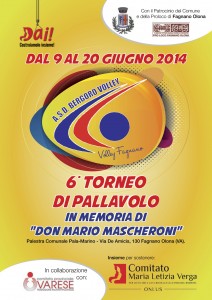 2014_torneo_volley_Don_Mario