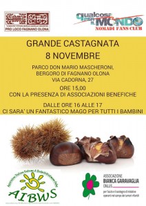 2015_castagnata_bergoro-locandina