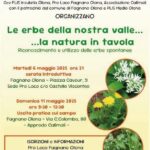 Le erbe della nostra Valle... la natura a tavola