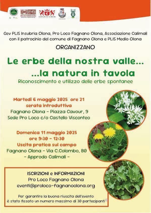 Le erbe della nostra Valle... la natura a tavola